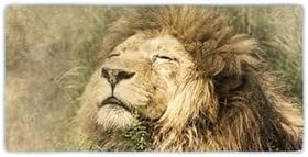 Resim Colorix Carpet Kaymaz Taban Tezgah Önü Mutfak Paspası 75x150 Cm No: 346 