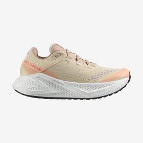 Resim Salomon 478125 Aero Glide 3 Grvl W Shortbread/white/fusion Coral Kadın Outdoor Ayakkabı Pembe 