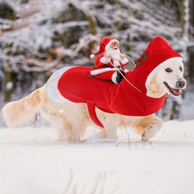Resim Santa Claus Köpek Kostümü, Polyester Noel Pet Kıyafeti, Büyük Irklar için Ayarlanabilir Kostüm - Eğlenceli Köpek Kıyafeti 