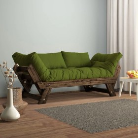 Resim Woodesk Adalar Masif Ceviz-Yeşil Renk 2li Kanepe CPT8118-210 