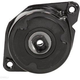 Resim Bmw E46 Kasa 320d M47 Motor Kayış Gergi Kütüğü 
