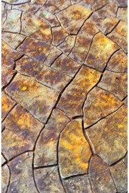 Resim SYArts Çatlatma Doku Macunu 1 KG ( Çatlayabilen Rölyef Pasta ) - LA CRACK 