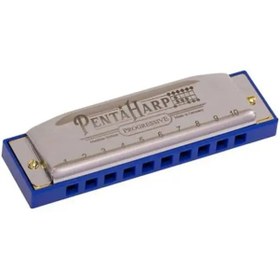 Resim Hohner M2103x Pentaharp D Minör Mızıka 