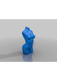 Resim Opencart Kadın Vücudu Vazo Modu Sadece Plastik Aparattır 