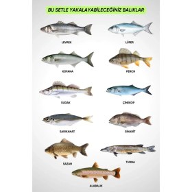 Resim Fishack 35 Parça Tam Takım Olta Seti - 300cm Kamış 30-60GR / 40'lık Makine (Mavi) - Tüm Deniz ve Göller İçin 