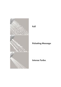 Resim Hansgrohe 100 El Duşu E 3-jet, 2,5 Gpm Diğer 