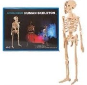 Resim Hobi Market Ahşap 3 Boyutlu Puzzle Iskelet 