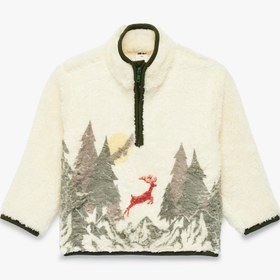 Resim Erkek Bebek Yarım Fermuarlı Uzun Kollu Dik Yaka Polar Sweatshirt 