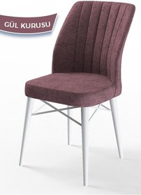 Resim Canisa Flex Serisi, Üst Kalite Mutfak Sandalyesi, 8 Adet Gülkurusu Sandalye, Gürgen Beyaz Ahşap Ayak Sandalye Gülkurusu Ayaklar Beyaz 