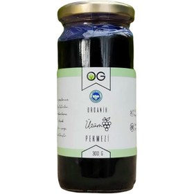 Resim OG NATURAL Organik Üzüm Pekmezi +6 Ay 300g 