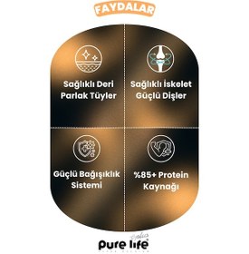 Resim Purelife Plus Stick Tavuk Etli Kedi Ödül Çubukları 12 x 15 G 