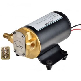 Resim Sailingflo 12 Volt Dişli Yağ Aktarım Pompası 12 Lt/Dk 