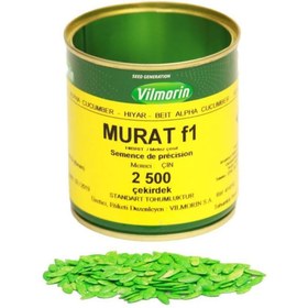 Resim Murat F1 2500 çk (Hibrit Oturak Hıyar) Vilmorin 