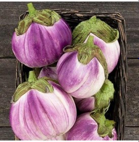 Resim Doğal Rosa Bianca Patlıcan Tohumu 20 Adet 1 Set 