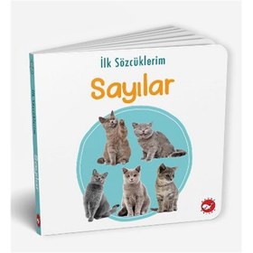 Resim İlk Sözcüklerim - Sayılar 