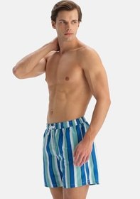 Resim Dagi Erkek Swimwear 26sw46028dk 