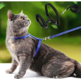 Resim NessiWorld Kedi Tasması 