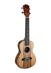 Resim Gstyle Uk-24kbl Concert Ukulele 