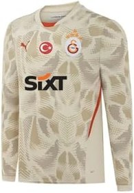 Resim Galatasaray Puma 2024/2025 Kaleci Gri Forma 77967206 