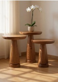 Resim ASELYA HOME Doğal Ahşap 3’lü Set Mantar Yan Sehpa Modern Fiskos Zigon Çiçeklik 