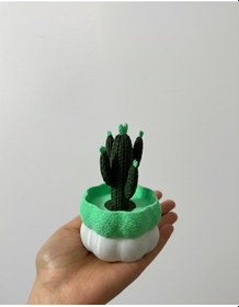 Resim Elana Design Kaktüs Tasarımlı Takı Kutusu Yüzük, Bileklik Ve Kolye Düzenleyici Dekoratif Saklama Kutusu Turkuaz 