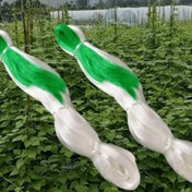 Resim Salatalık Bitkisi Desteği Ağı - 200.0cm x 100.0 metre - Plastik Malzeme - Bahçe Tırmanma Ağı - Sebze Mahsul Tutucu 