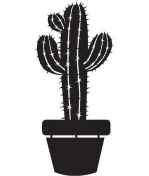 Saksı Çiçeği Kaktüs Oto-motor-laptop-duvar-dekor Tip 4 10 X 22 Cm