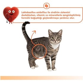 Resim Sindirim Sağlığı Düzenleyici Kedi Ödül Maması Somon & Tavuk Probiyotikli Kedi Ödül Kreması 5x14gr 