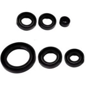 Resim SEVGENT Pejo Far Duyu Segmanı 