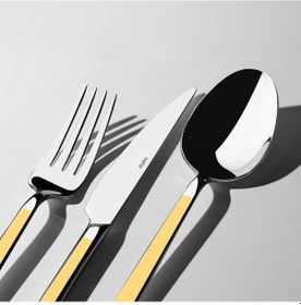 Resim Nehir Dalyan Altın Sade 12 Kişilik 89 Parça Deri Kutulu Çatal Kaşık Bıçak Takımı Altın - Gümüş 