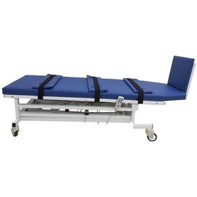 Resim 2 Motorlu Tilt Masası Elektrikli, Ayarlanabilir Yükseklik Ve Güvenlik Kemerli Test Cihazı 