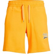 Resim Jack & Jones Erkek Sweat Şort Jpsttrevor Sweat Shorts12228758 
