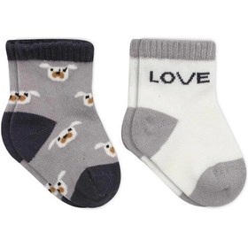 Resim Bistyle Love Dog Penye Soket Çorap 2'li Bs10118 Gri Gri 