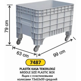 Resim Arı Metal Plastik Tekerlekli Kasa Orta Boy 79X63X99 cm 