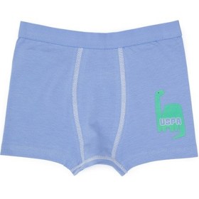 Resim U.S. Polo Assn. Erkek Çocuk 3'lü Boxer Takım 50319387-VR036 