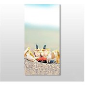 Resim Yengeç Kanvas Tablo 100x150cm 