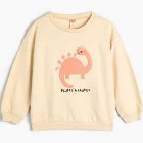 Resim Kız Bebek Dinozorlu Sweatshirt Bisiklet Yaka Uzun Kollu Şardonlu Pamuklu 