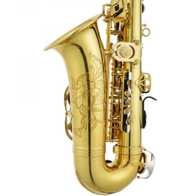 Resim Jupiter JASSTRQ Stellar Alto Saksafon | Özel Seri Parlak Ton 