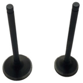 Resim ONUR MOTOR Supap Pcx Dadong 