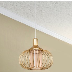 Resim Terlo Gold Tekli Bal Camlı Sarkıt GOLD KASA 