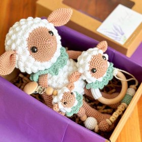 Resim Amigurumi Kuzu Oyuncak Mint - 3lü Bebek Seti 