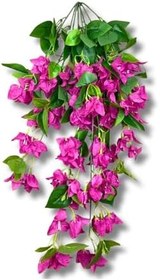 Resim Fuşya Begonvil 9 Dallı Sarkıt 90x50 