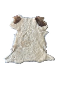 Resim ln leather Gerçek Uzun Tüylü Koyun Postu - Naturel Uzun Tüylü Koyun Postu - Doğal Post Paspas 
