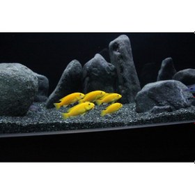 Resim Akvaryum Kumu 10 Kg Bazalt ( 3-4 ) mm Bitki kumu 