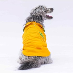 Resim Pawstar Sarı Marine Polo Yaka Kedi Köpek Tişörtü 