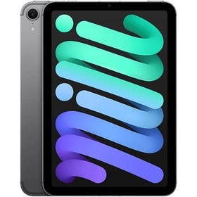 Resim Apple iPad Mini A17 pro 7.Nesil Cellular 8.3" | 256 GB Uzay Grisi 