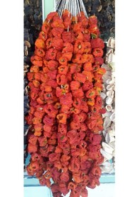 Resim Kurutmalık Yeni Mahsul Acı Biber Dolmalık 3 Dizi 150 Adet 