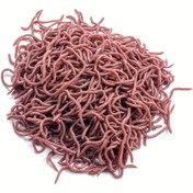 Resim Balıkçılık için 50 Adet Gerçekçi Solucan Yemleri - 4cm & 8cm Yumuşak Plastik Yemekler, Canlı Kırmızı Yüksek Kaliteli Malzeme, Tatlısu ve Tuzlu Su Balıkçıları İçin Poşet Paketi, Solucana Benzer Tasarım, Esnek Yem, Uzun Ömürlü Yem Balığı, Bass Balıkçılar 