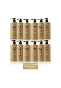Resim Dp Daily Perfection Şampuan Çam Terebentin 12 x 500 ML 