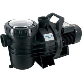 Resim Senkron 2 Model Havuz Pompası 3.0 Hb Monofaze Pompa 